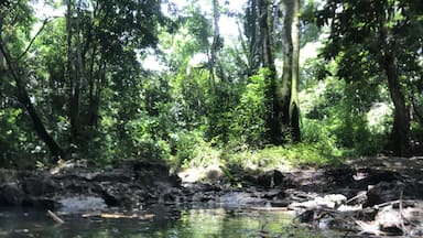 While in Belize, we went river tubing. It was extremely cold, but it was an un-BELIZE-able experience.