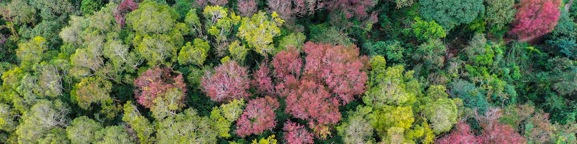 Hong Kong's country park also has colourful landscape.
#Nature