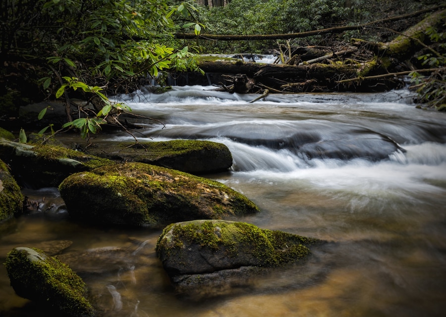 Near this tiny, but great campground you can find multiple streams with plenty of trout, stocked USFS, and can walk up all of these steams and find multiple cascades. It's a wonderful little hidden gem of a campground, but only 9 campsites (first come first serve) so cone first and get the site that backs up to the stream.