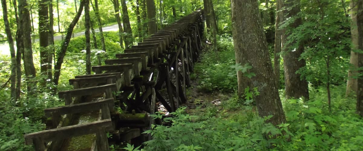 This was along The Blue Ridge Parkway just northeast of Fancy Gap Va.