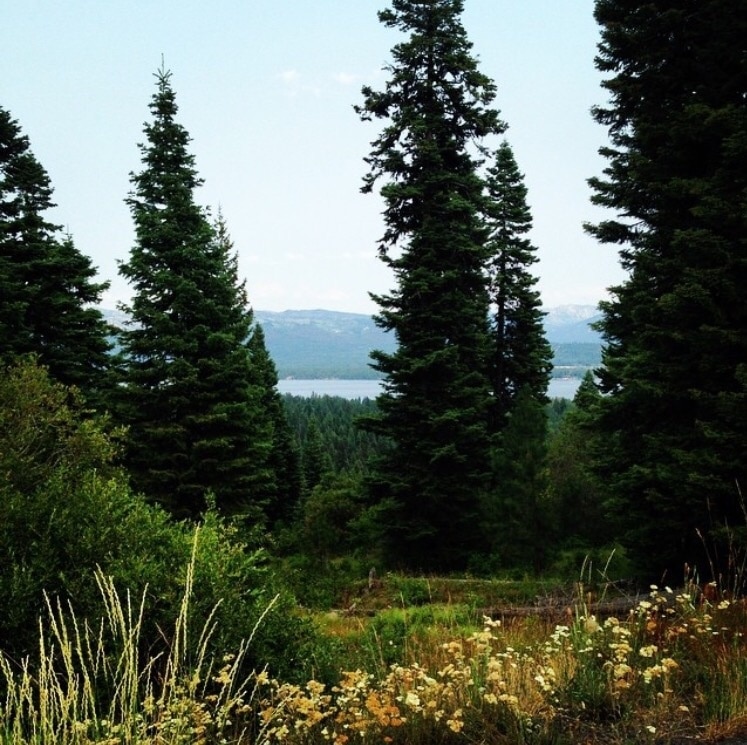 Top 20 Payette Lake, US cabin rentals from 86/night Vrbo