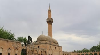 Balıklıgöl,Urfa,Turkey
----- Balıklı Göl; according to legend, where the Prophet Abraham was thrown into the fire in the city center of Şanlıurfa. The lake is famous for its sacred fish and its historical monuments around it.
#balıklıgöl #urfa #turkey