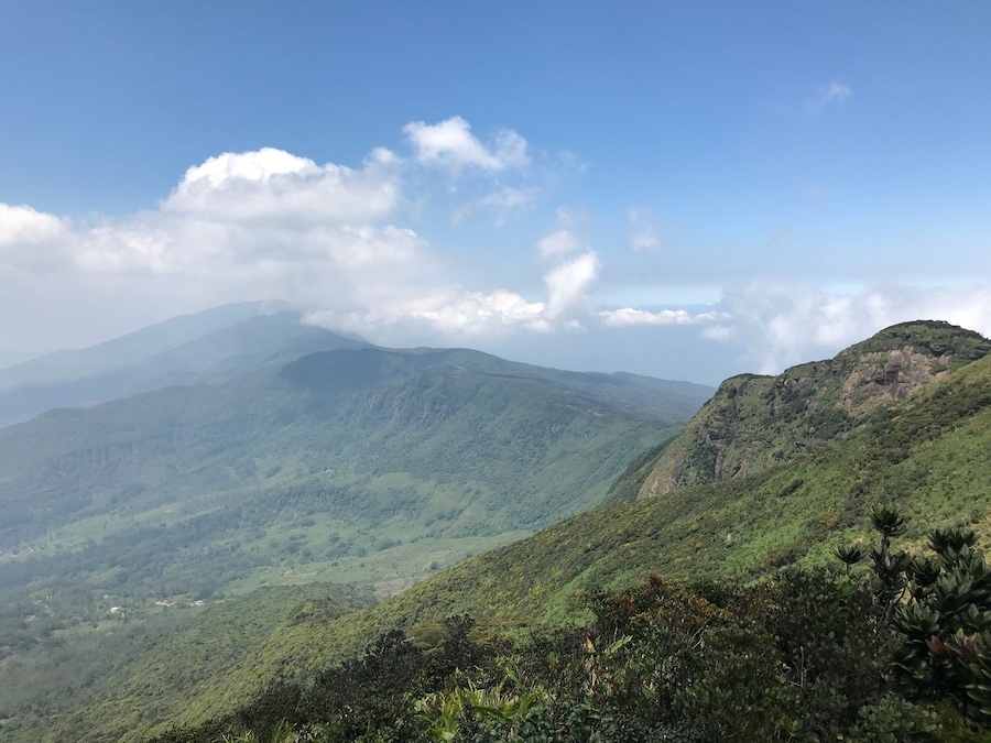 #LifeAtExpedia - green green green, beautiful nature in Sri Lanka!