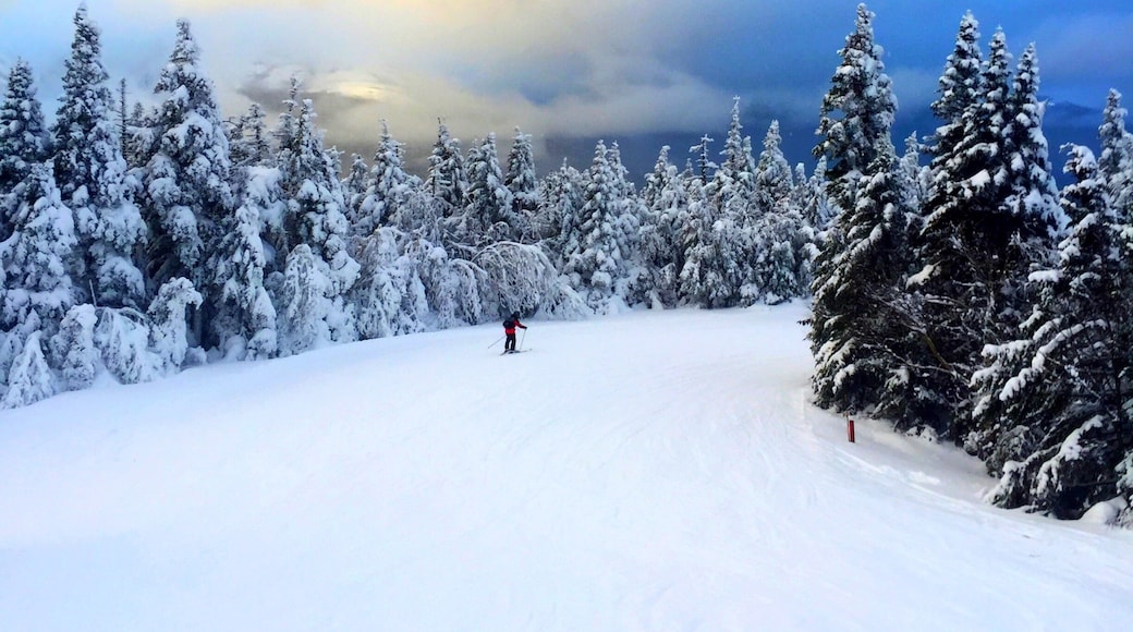 Wildcat Mountain Ski Area, Gorham, New Hampshire, USA