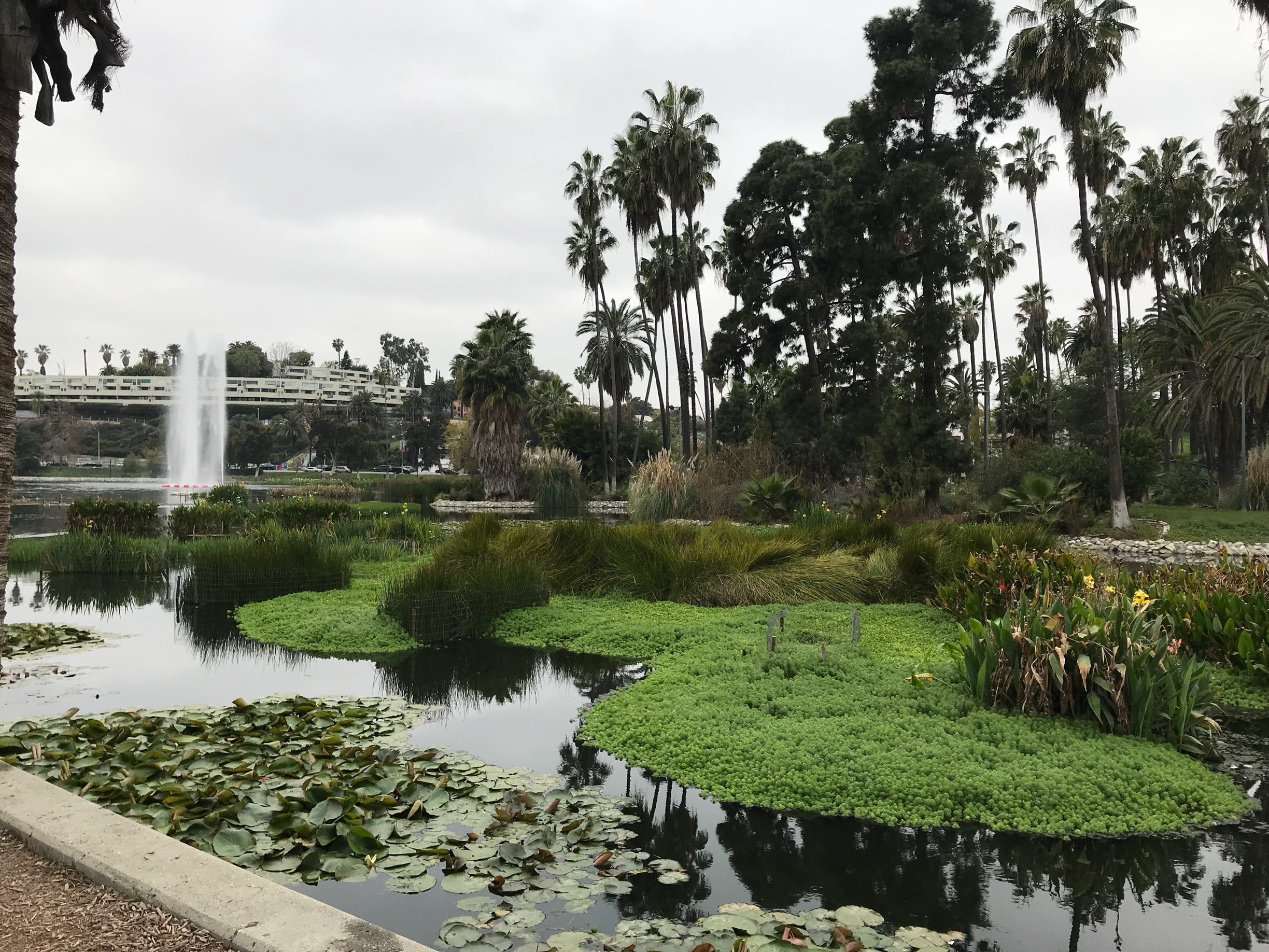 Echo Park, Los Angeles Vacation Rentals: house rentals  more | Vrbo