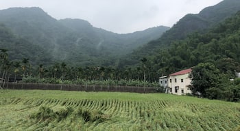 Old Hakka Village. Worth a stroll if you like to see the more authentic village of the Hakka people