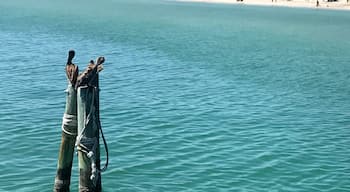 Fort De Soto is a beautiful county park in Tierra Verde, FL (just southwest of St. Petersburg). There's camp grounds, biking and running paths, kayaking, a fishing pier, and plenty of natural beach