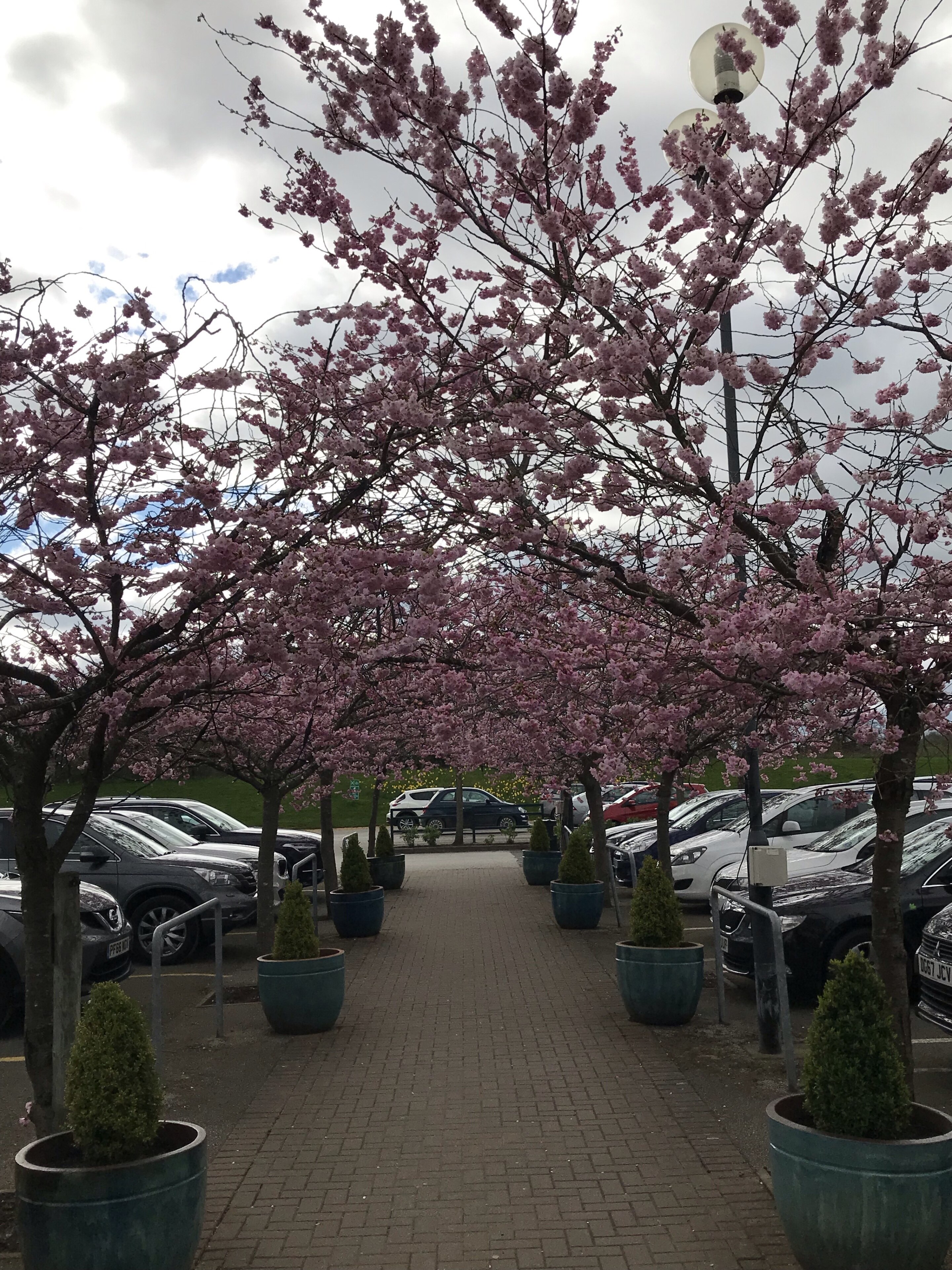 Foto de Douglas Cutler