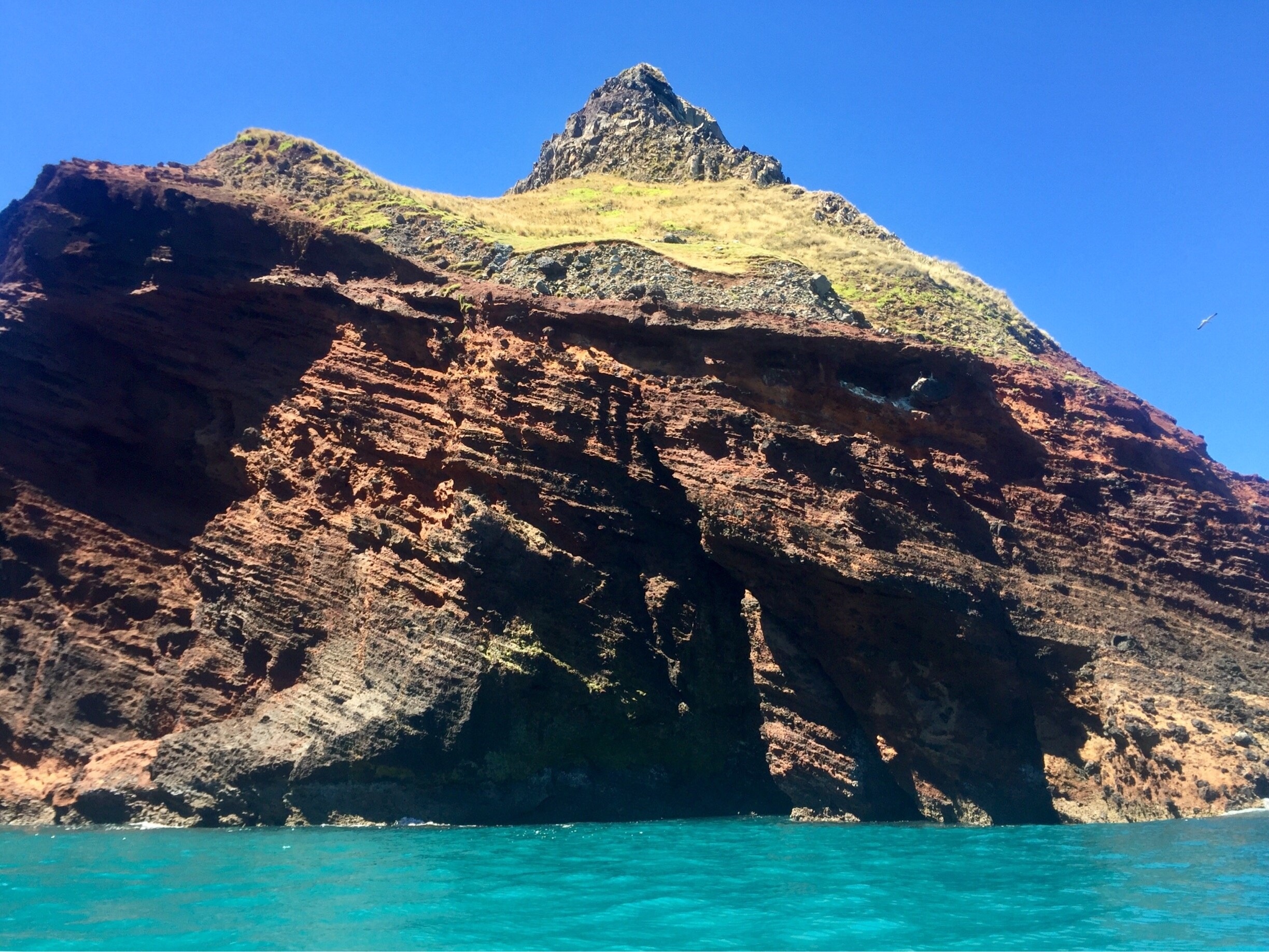 Travel Wainui Best of Wainui, Visit Canterbury Expedia Tourism