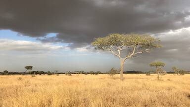 Tanzanian landscape with moody sky