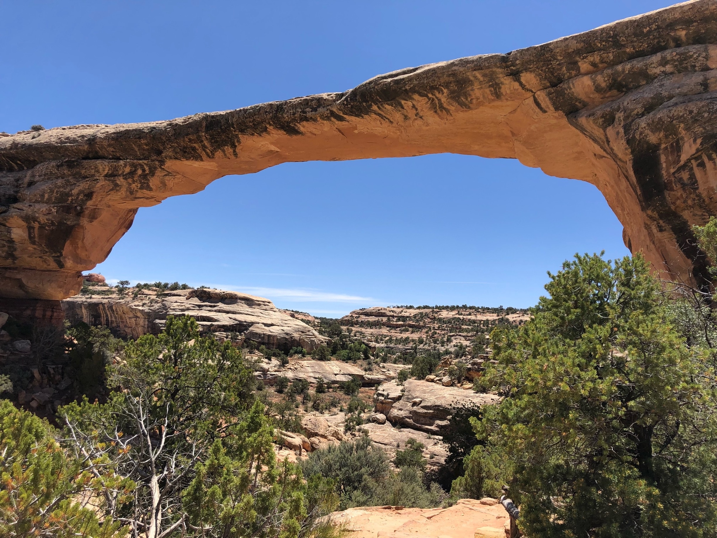 Visit Natural Bridges National Monument in Utah | Expedia