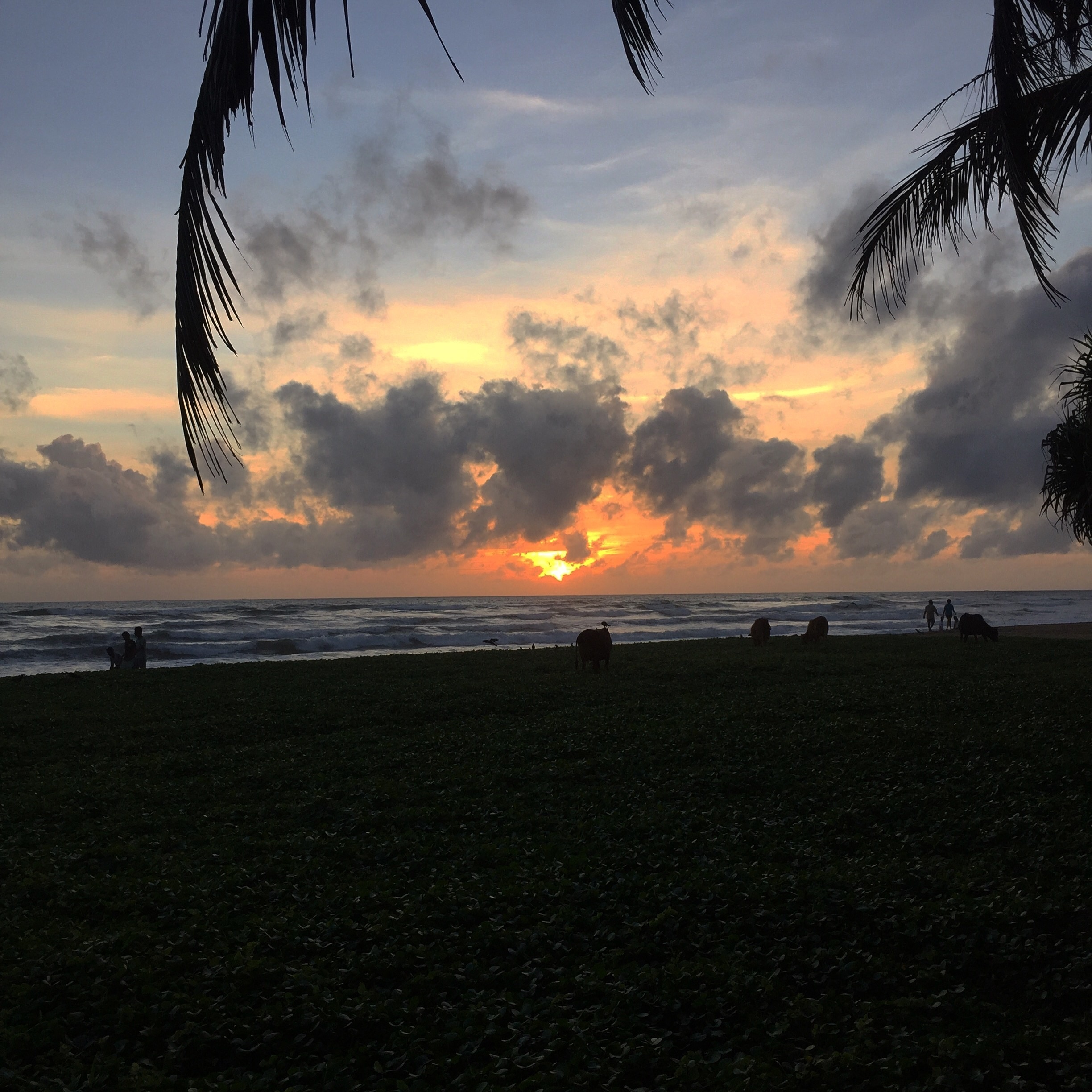 Sunset on the beach in Wadduwa Sri Lanka 