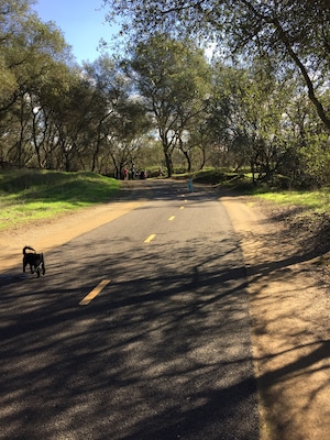 Awesome about 1 mile hiking. Great biking walking dogs. Excellent services begin and last restroom and water foundation.