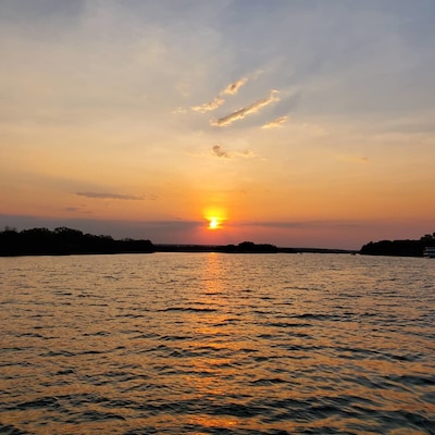 Cruise along the Zambezi River which flows in between Zambia and Zimbabwe