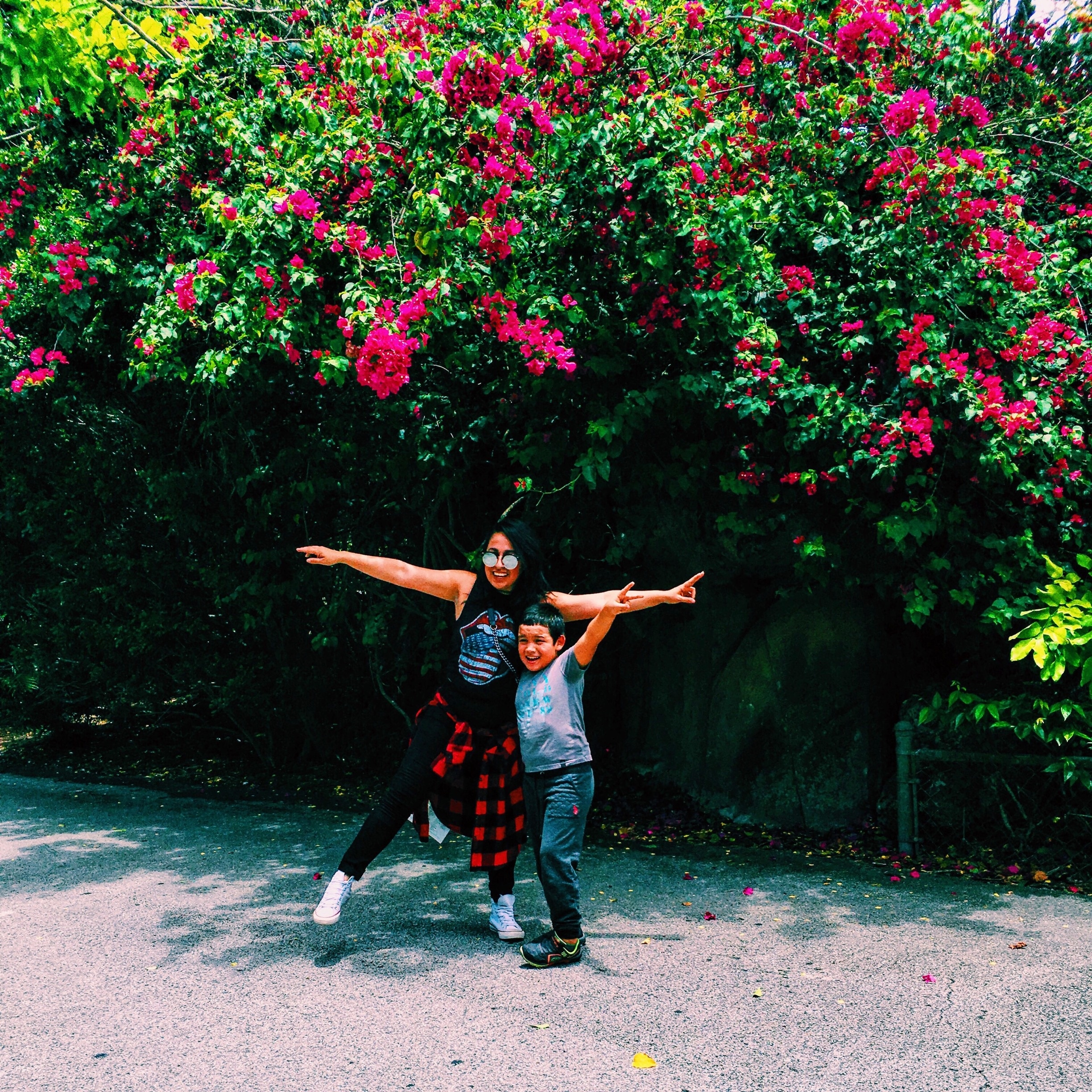 15 Closest Hotels to Zoo Miami in Miami