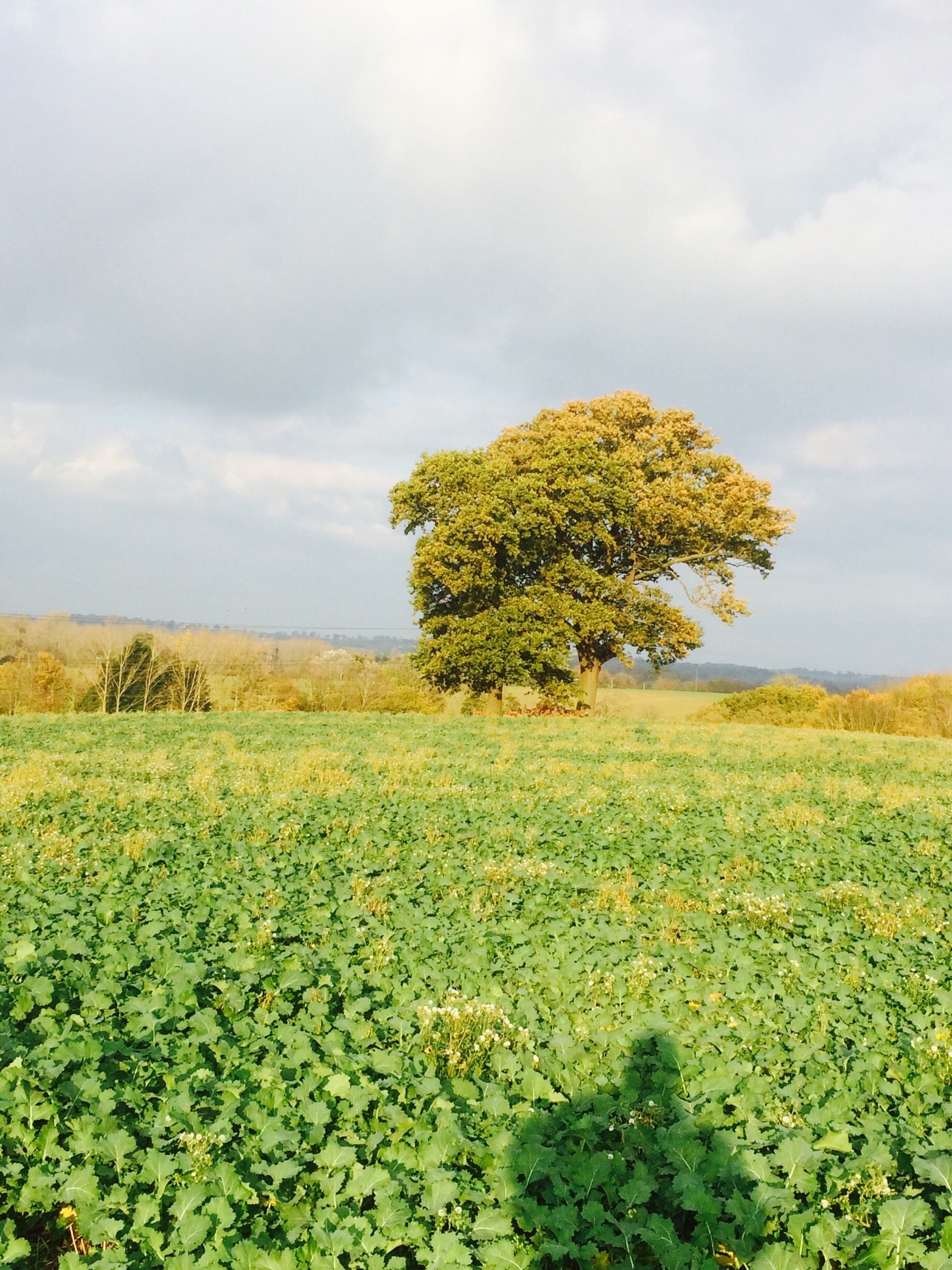 Foto von Mick Coutin