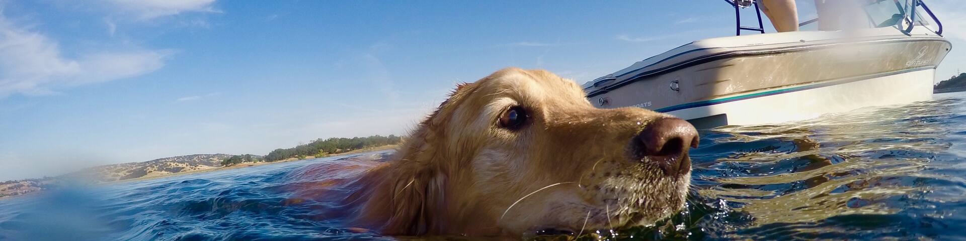 Granite Bay, California, United States of America