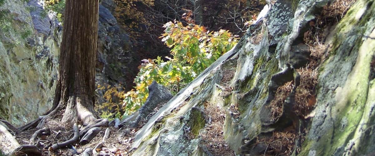 Shawnee National Forest