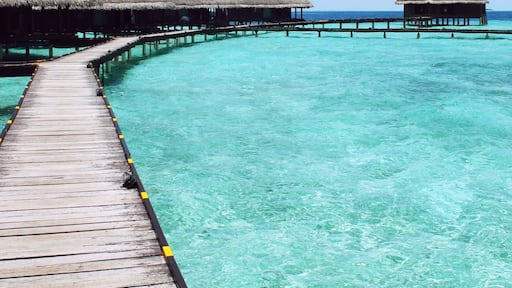 Valokuva: Ciara McEntee