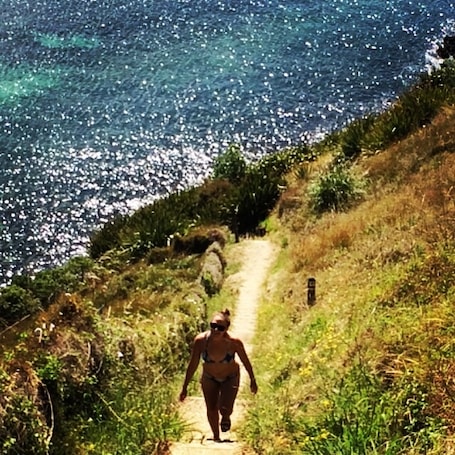 Amazing day in Optio Bay, NZ - much quieter place to visit (not as many tourists) with some great little hikes (shown in picture), great swimming and kayaking!