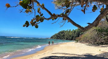 Meander along golden sands beaches