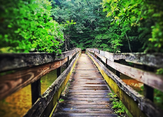 Yellow Springs, Ohio, United States of America