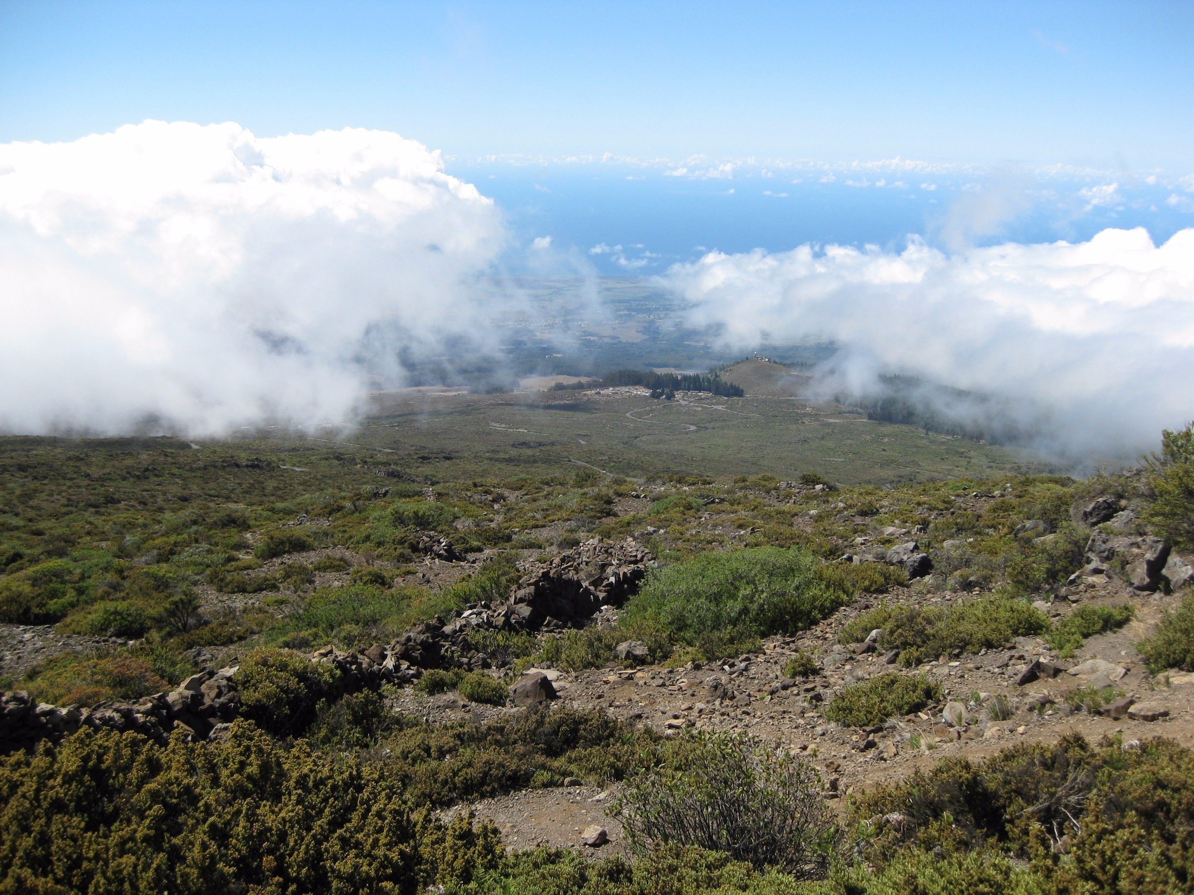 About 8,800 feet elevation (Haleakala)
-2010