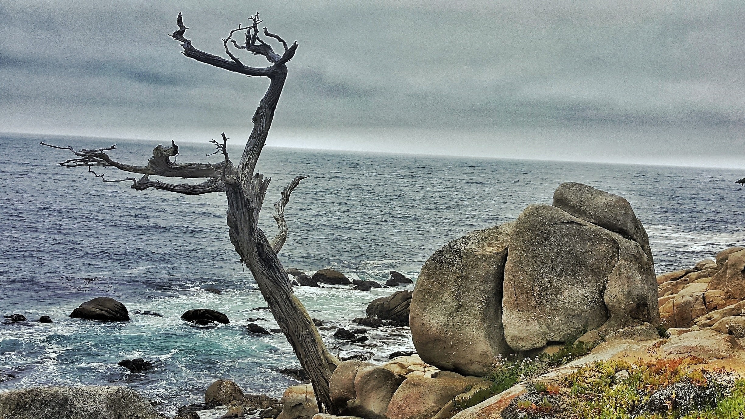 Resort Del Monte Forest The Best Resorts in Del Monte Forest Expedia