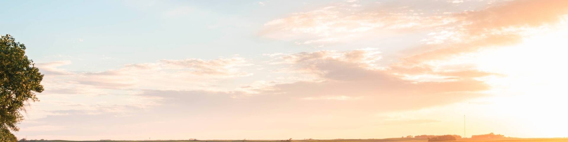 It has taken me the better part of ten years to fall in love with North Dakota and be proud to call it home.  In the summer, ND is beautiful, flat treeless, and you can see forever.
#paterns