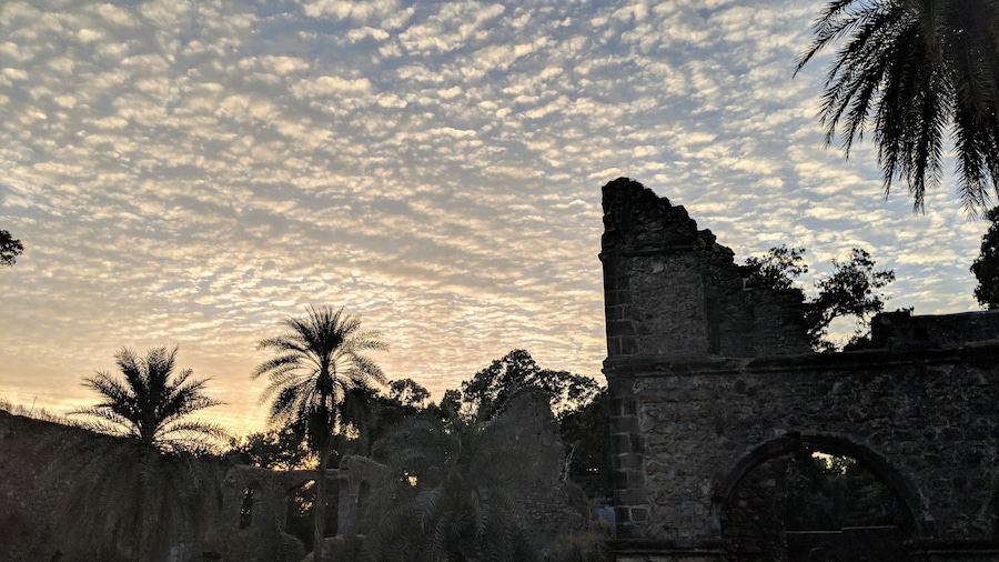 Captured at Vasai Fort, India. Also knows as Fort Bassein which was built in 1184.
#archeologicalsite #ruins #india #fort #outdoors