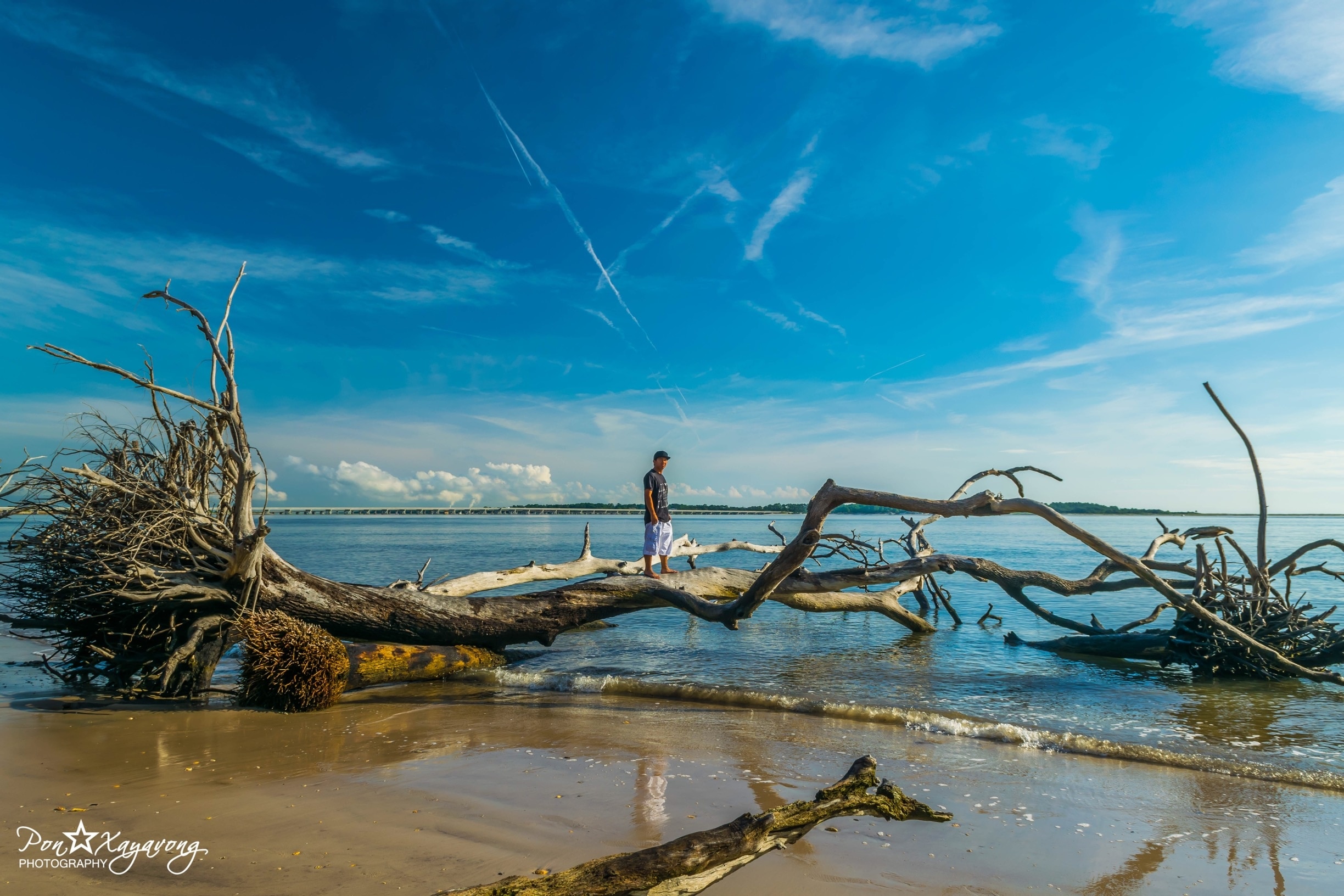 Visitez Big Talbot Island State Park le meilleur de Big Talbot Island