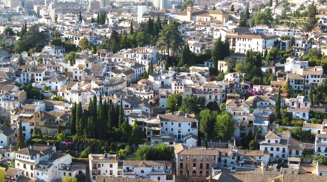 Calle Gran Via de Colon, Granada, Andalusia, Spain