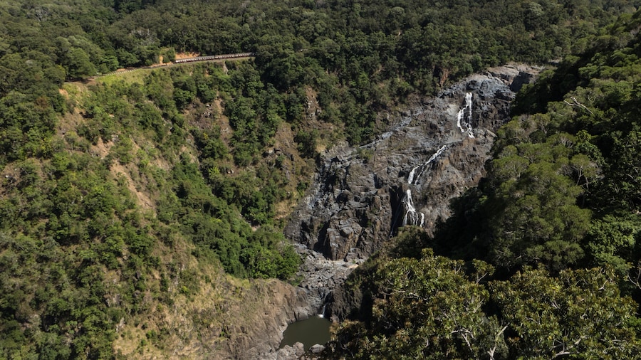 Skyrail Kuranda Cableway Station