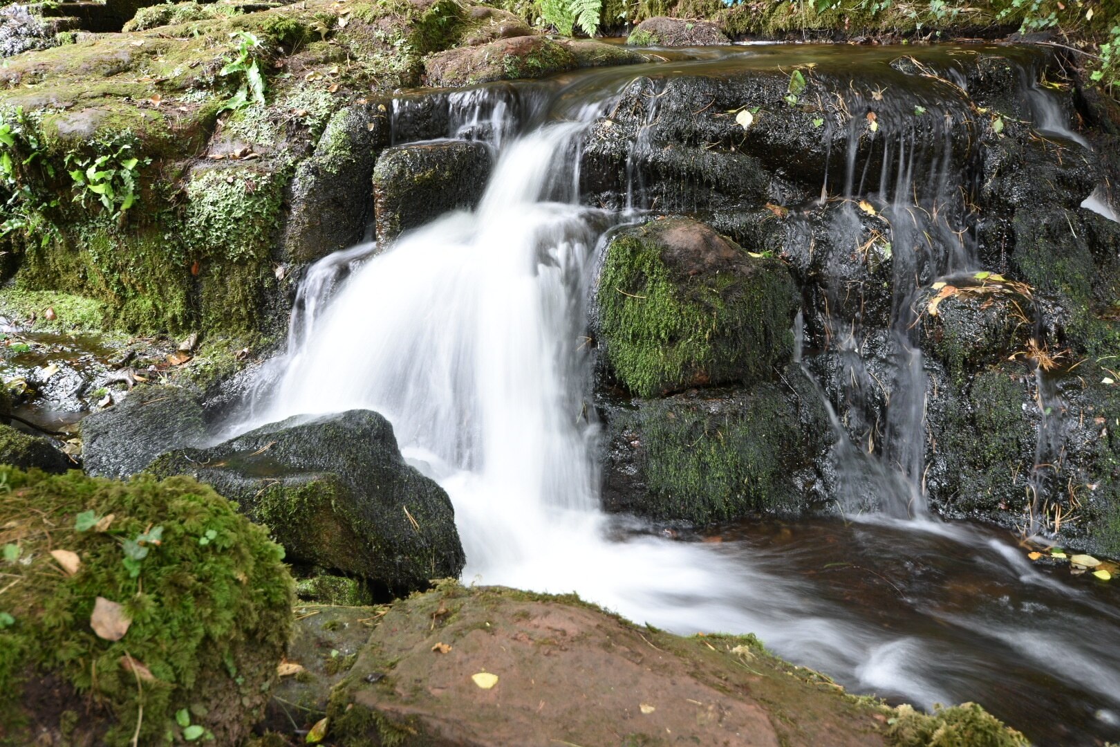 Foto av Michael Hinett