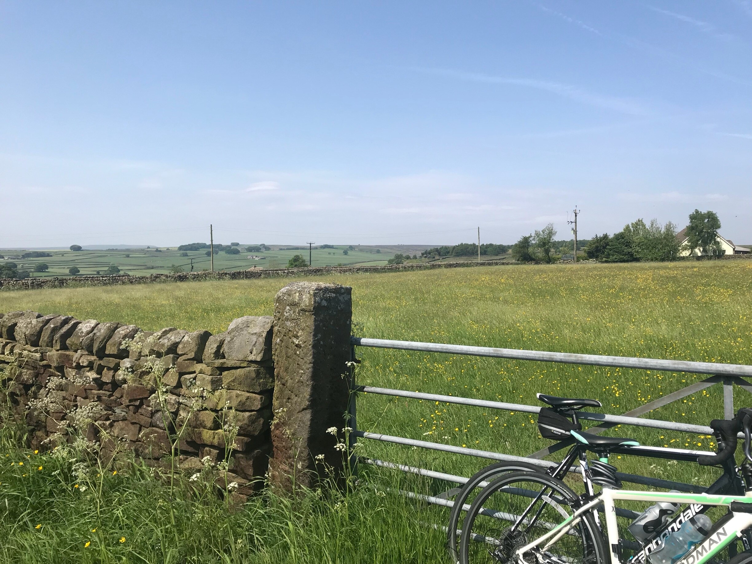 Foto tomada por Julie Grimble