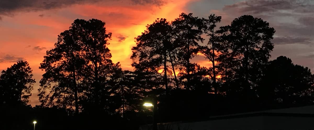 Just incredible sunset