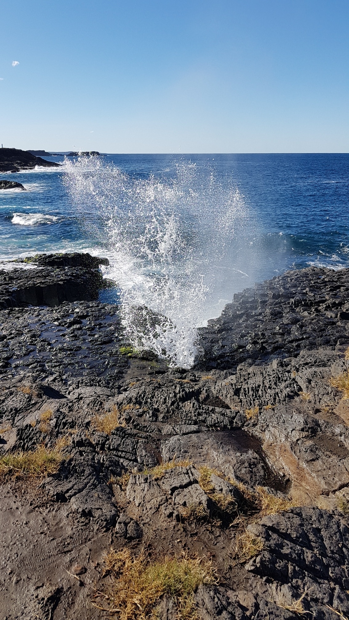 I love this spot. It doesn't get as busy as the main Kiama blowhole and the views are amazing.