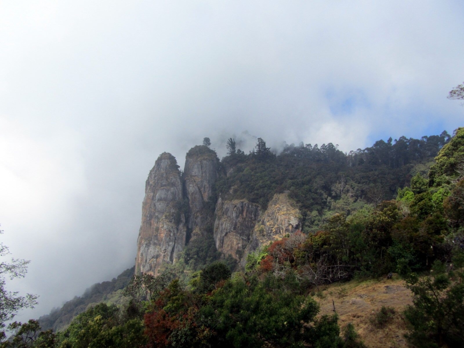 One of the must visits places in kodaikanal, make sure the weather is right though, you can barely see them when it's cloudy. 