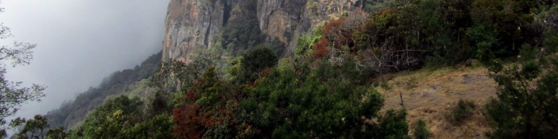 One of the must visits places in kodaikanal, make sure the weather is right though, you can barely see them when it's cloudy.