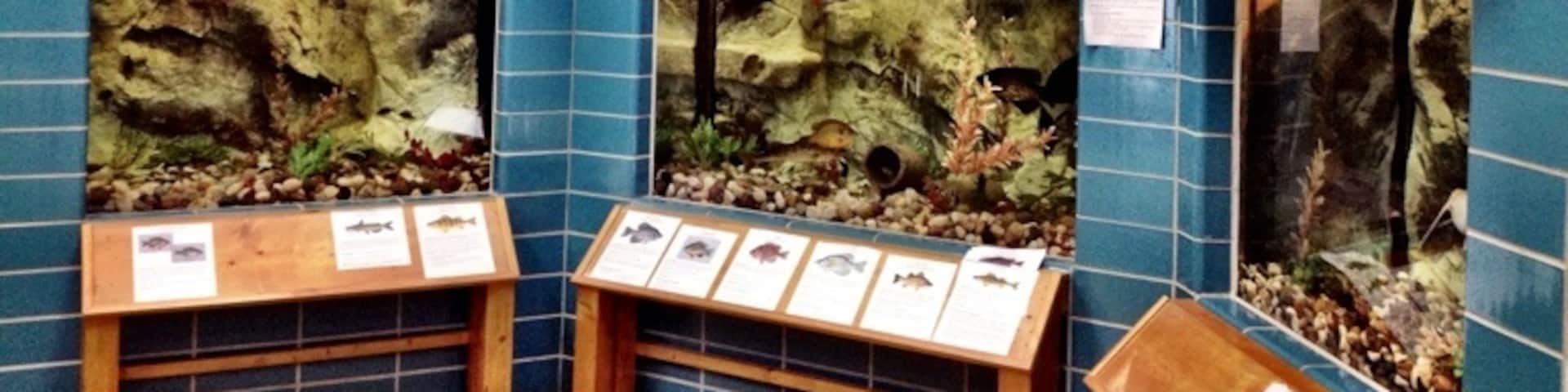 Tour the displays and spawning process at the Iowa Great Lakes Fish Hatchery.