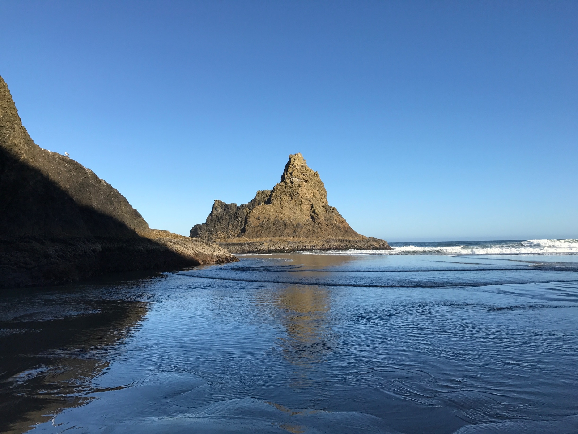 Tillamook County Vacation Rentals, Oregon house rentals & more Vrbo