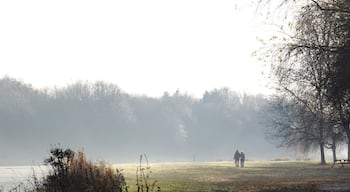 A lovely place to walk close to where we used to live