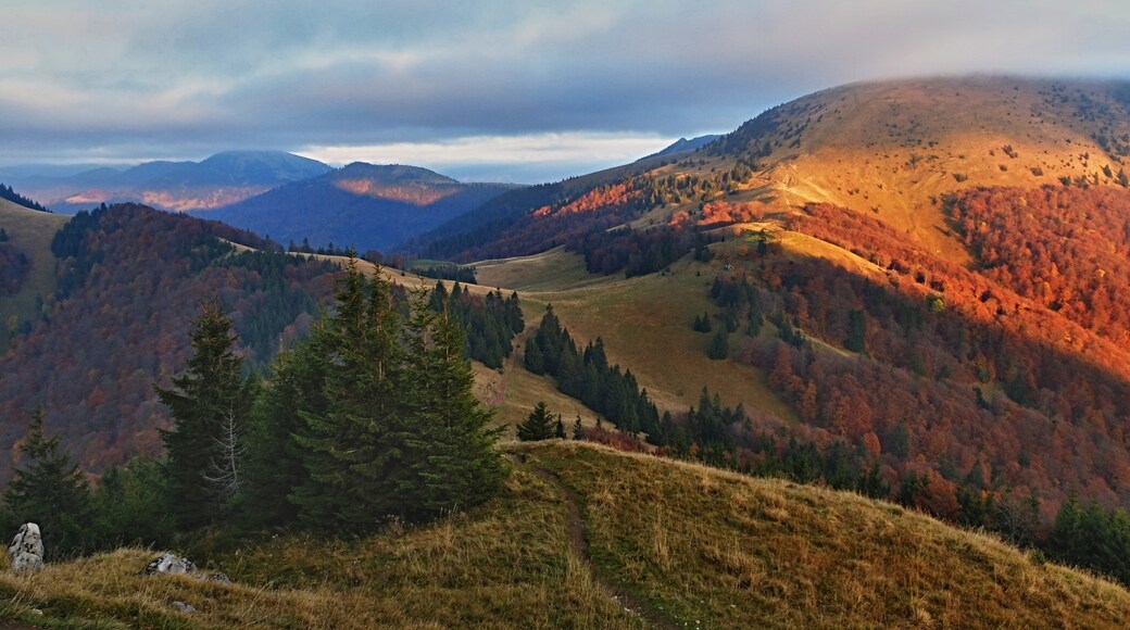 Photo by Jan Topex