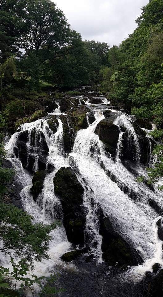 swallow falls