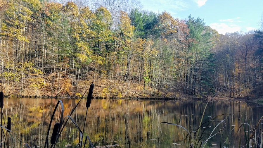 Boch Hollow State Nature Preserve