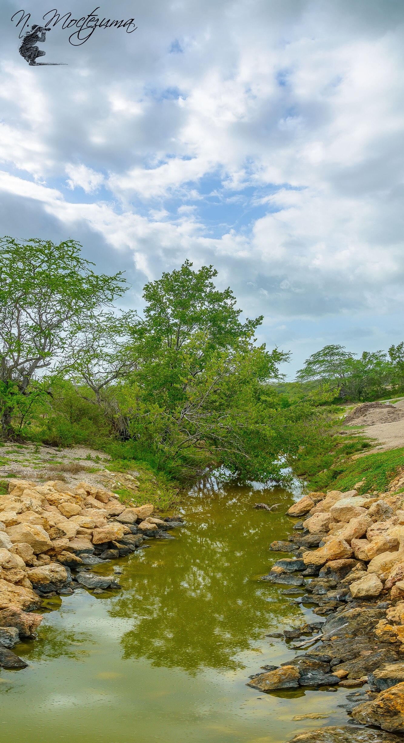 Visita Refugio Nacional de Vida Silvestre de Cabo Rojo en Cabo Rojo - Tours  & Actividades