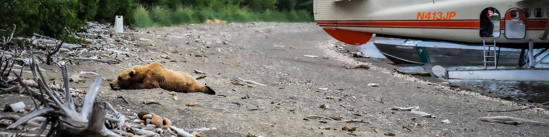 King Salmon, Alaska, United States of America