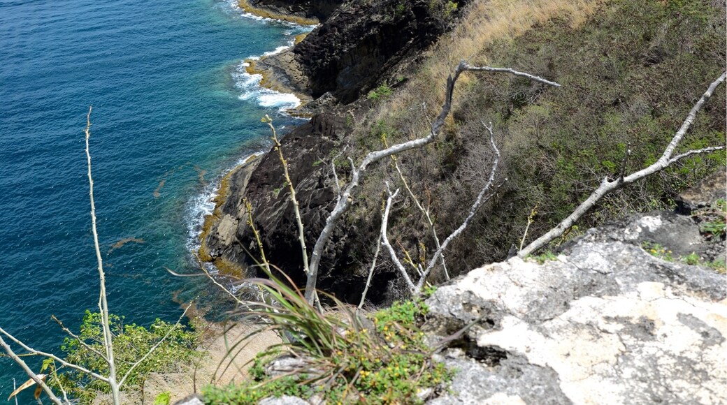 Pigeon Island National Park, Gros Islet, St. Lucia