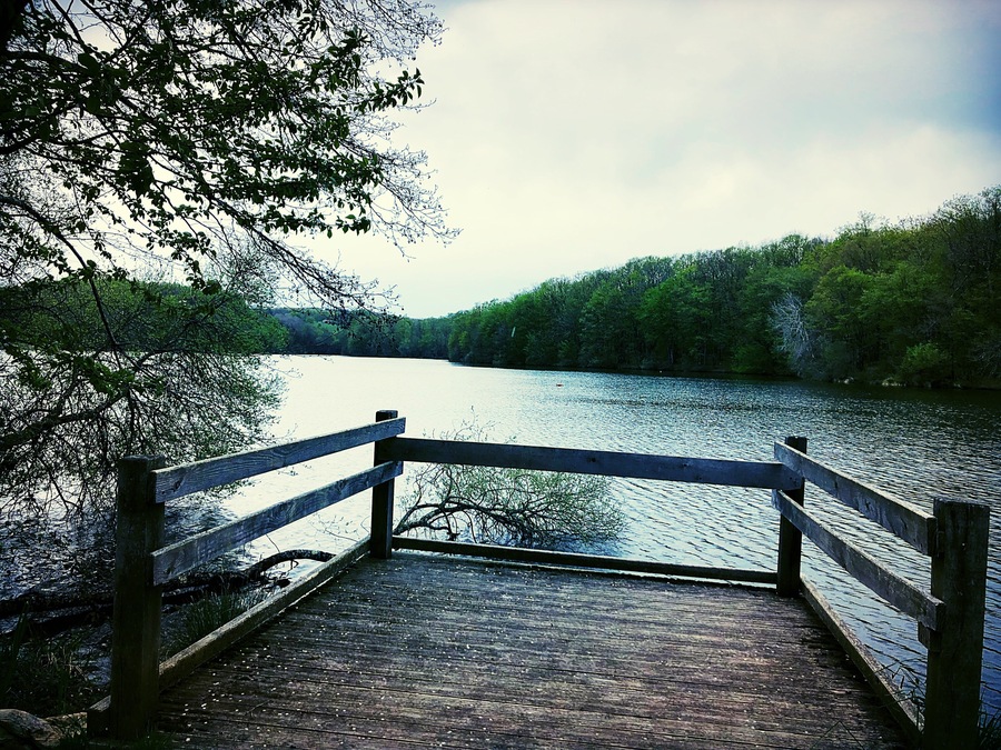 Tour du lac de 7 km voir plus avec les chemins annexes :)