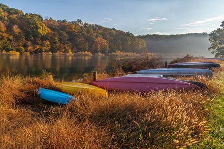 value: "Canoes ready to be retired for the winter\n"
